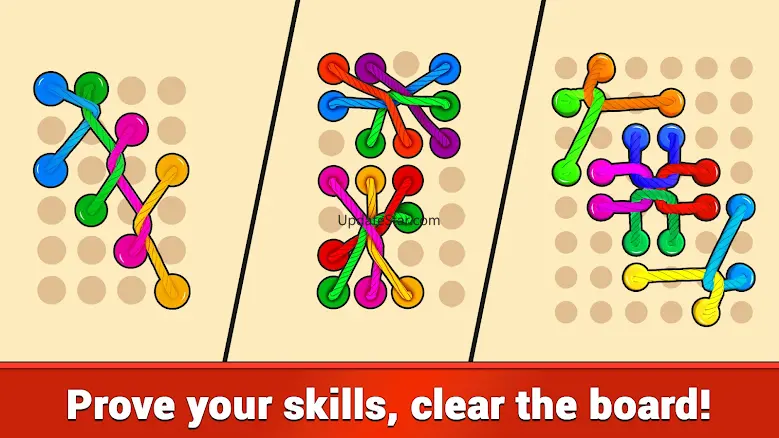 Tangle Rope 3D: Sorting Puzzle