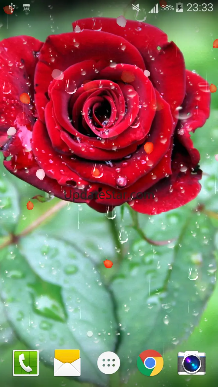 Rose Raindrop Live Wallpaper 1.0.9