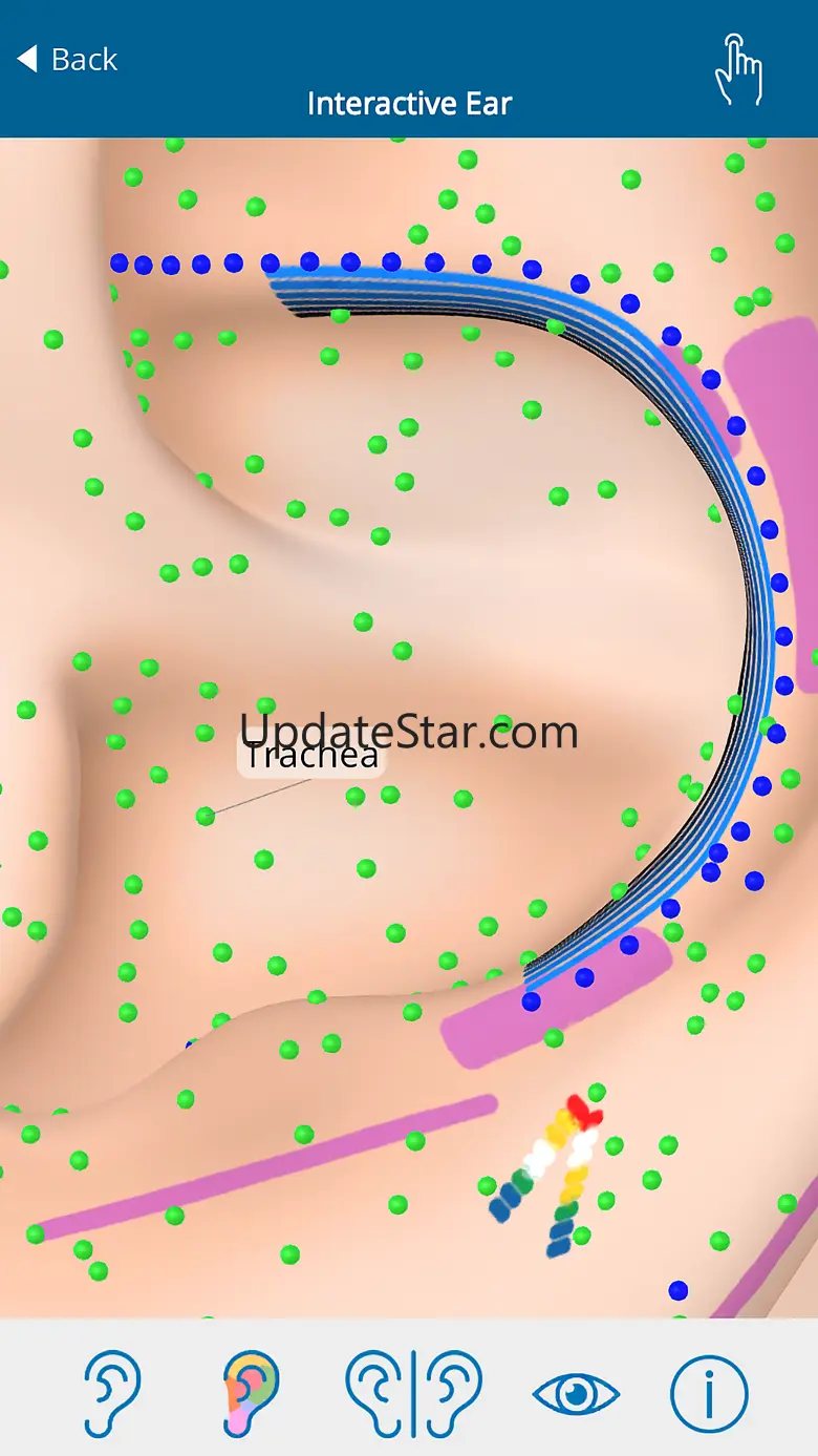 Auriculo 360 - The Living Ear 1.0.26