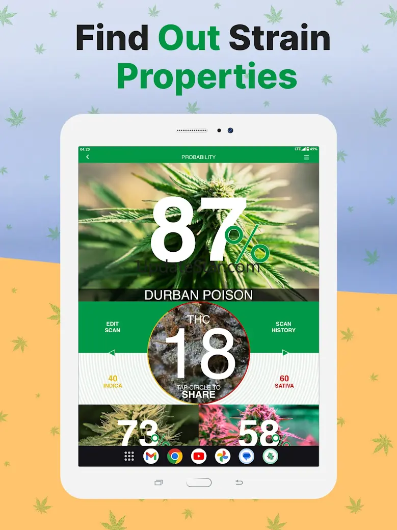 Kush Scan: THC Weed Identifier 1.41