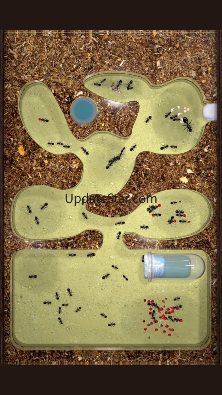 Ant Farm Simulator