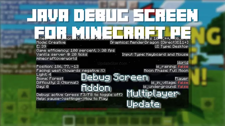 Java Debug Screen Addon F3 1.0