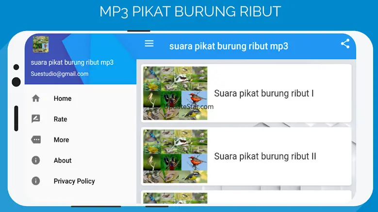 suara pikat burung ribut mp3 11.1