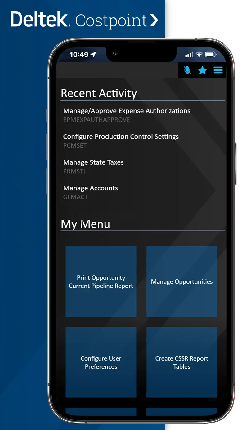 Deltek Costpoint 5.0