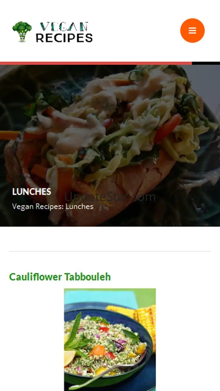 Vegan Recipes 3.0