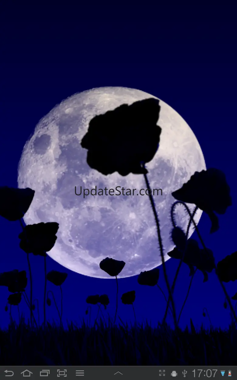 Poppy Field Lite 3.13