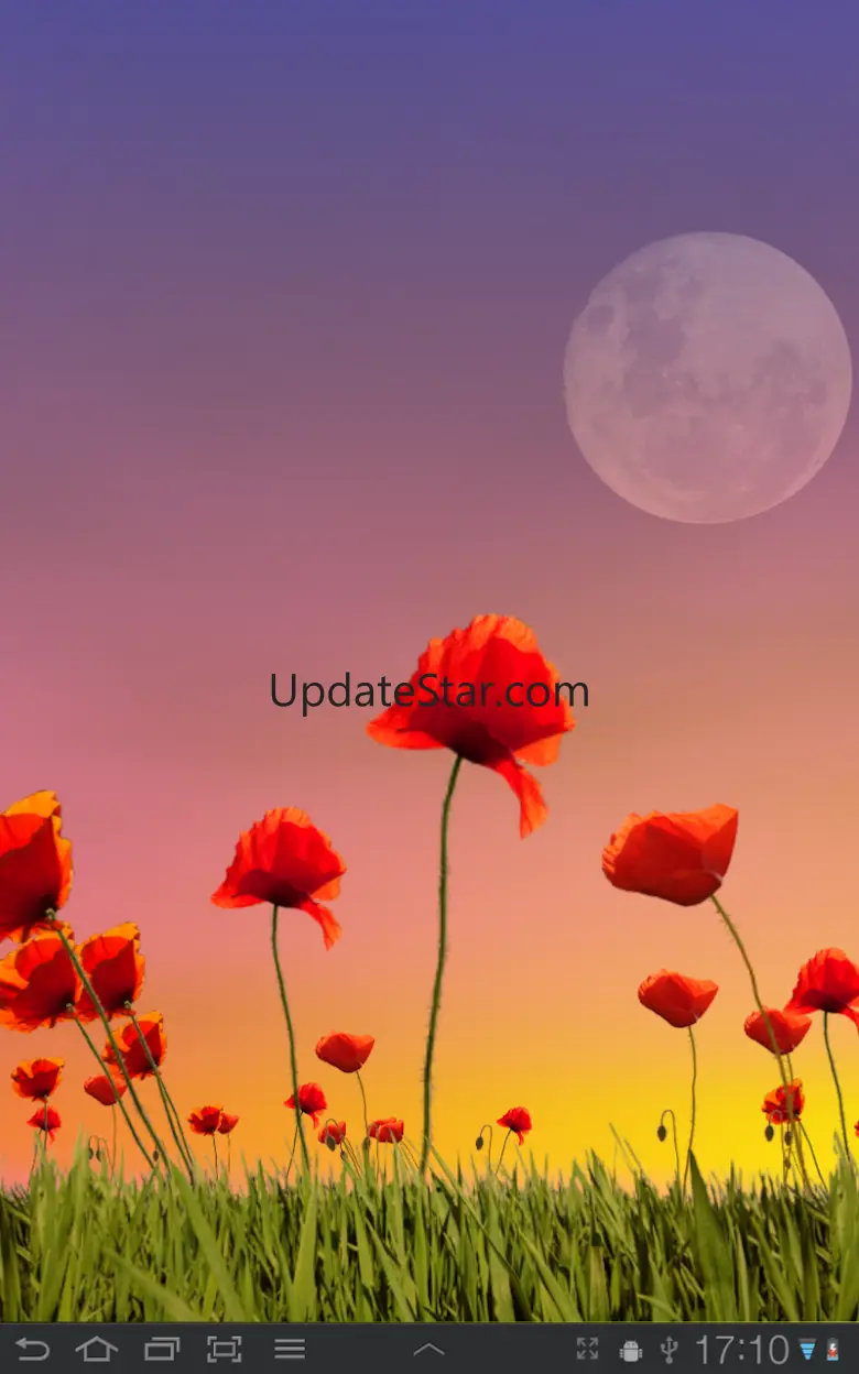 Poppy Field Lite 3.13