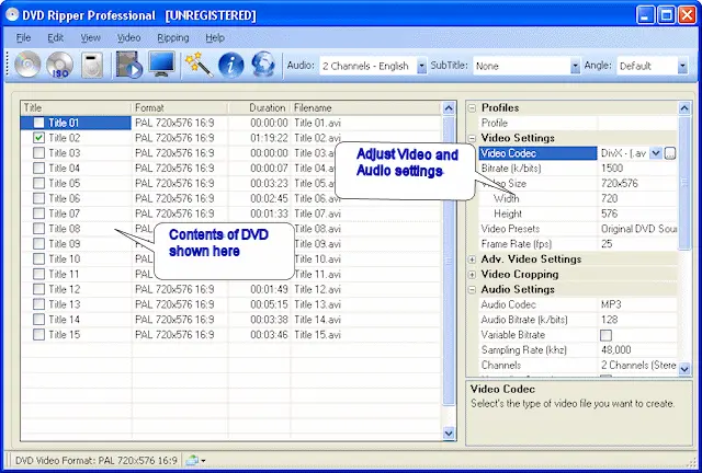 Jesterware DVD Ripper Professional 2.23