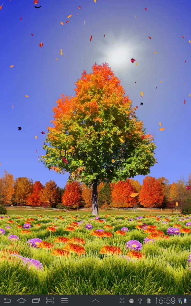 Autumn Trees Free 1.27