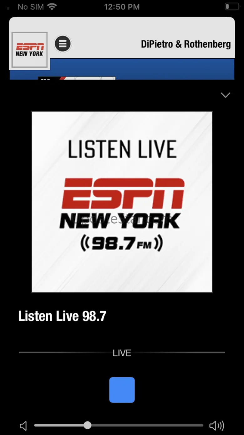 ESPN New York 1.3