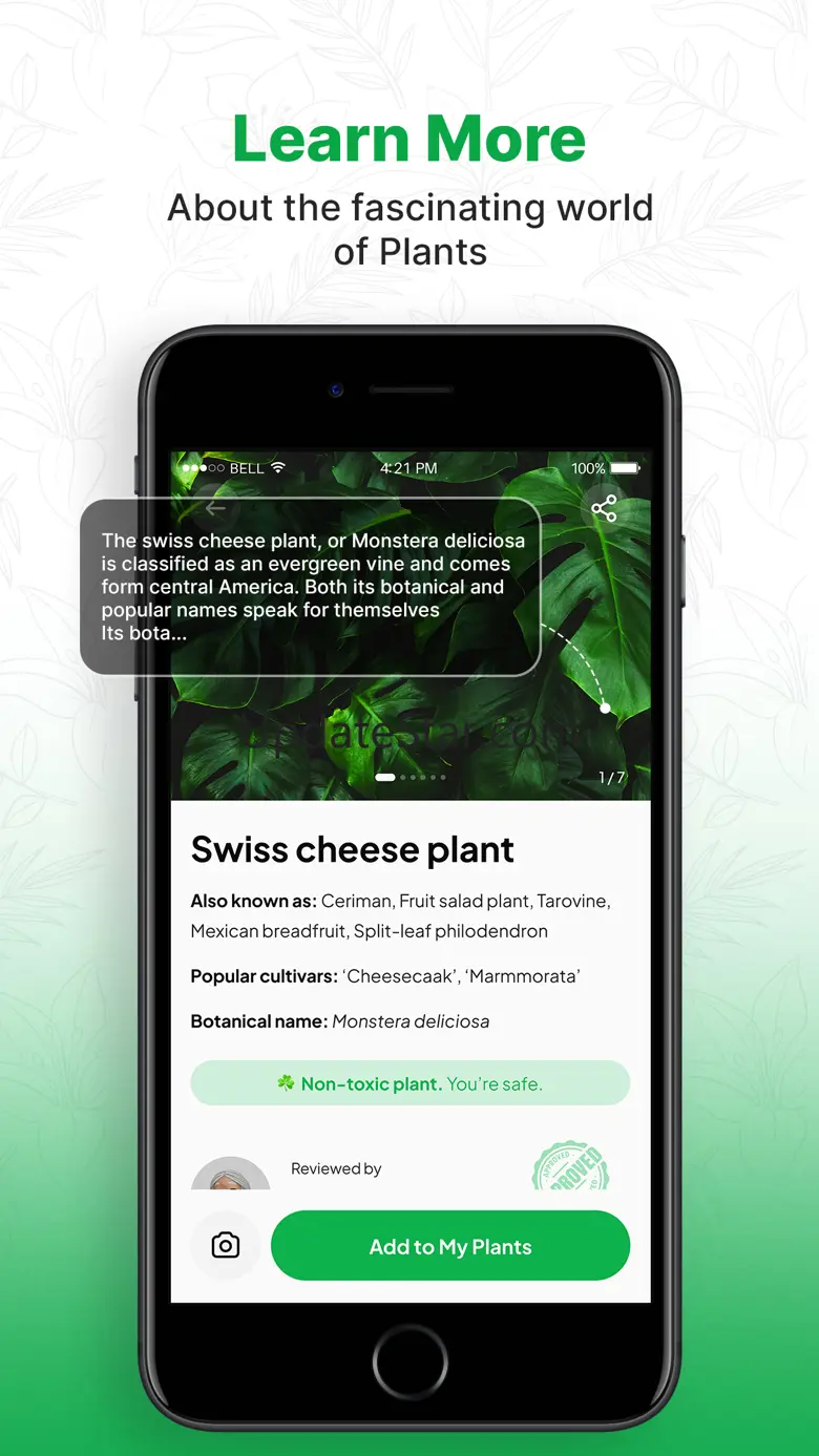 AI Plant Identifier - Leafy 1.1