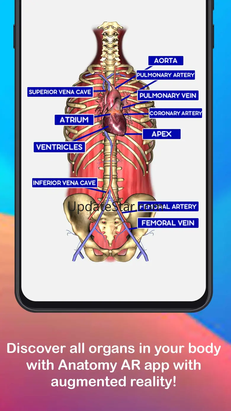 Anatomy AR 4D -Virtual T-Shirt 1.7