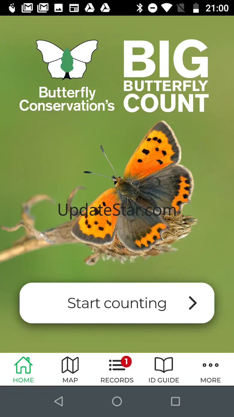 Big Butterfly Count 8.3.1