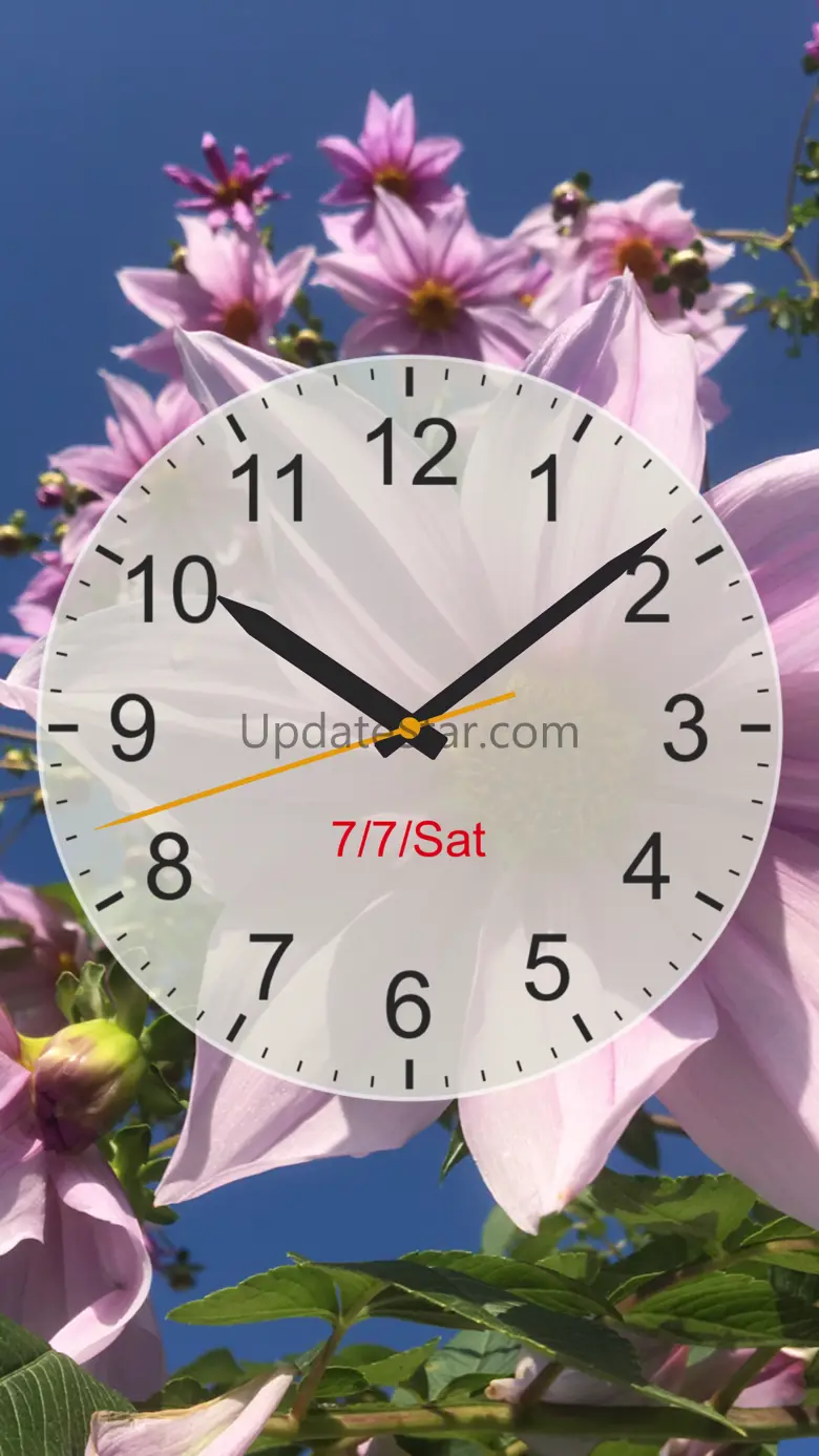 Analog Clock Lite - Pendulum 1.8.0