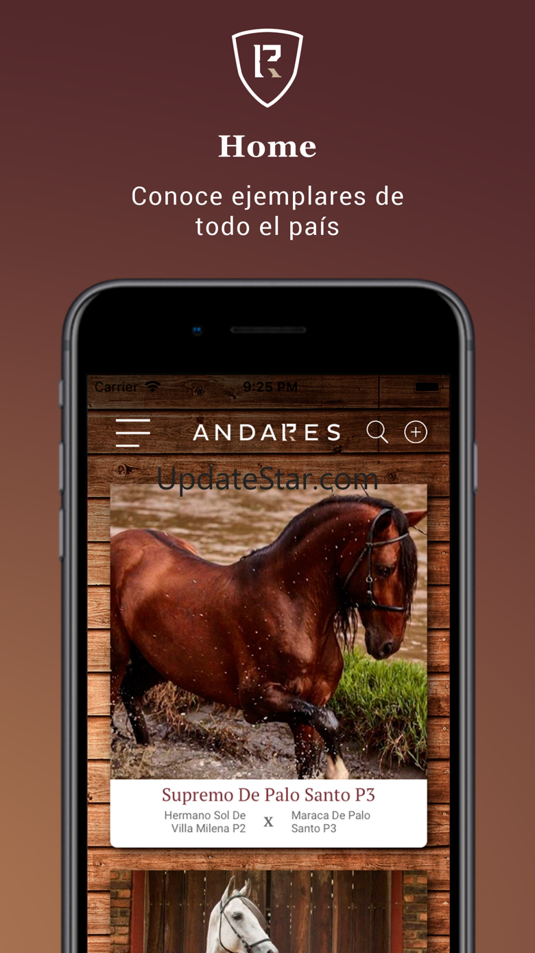 Andares 5.5.1