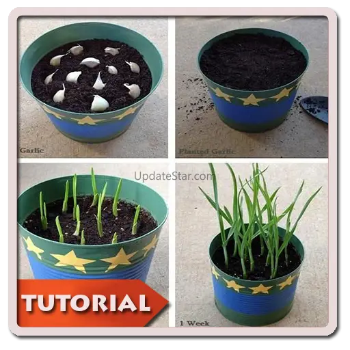 DIY Gardening Planting 2.2