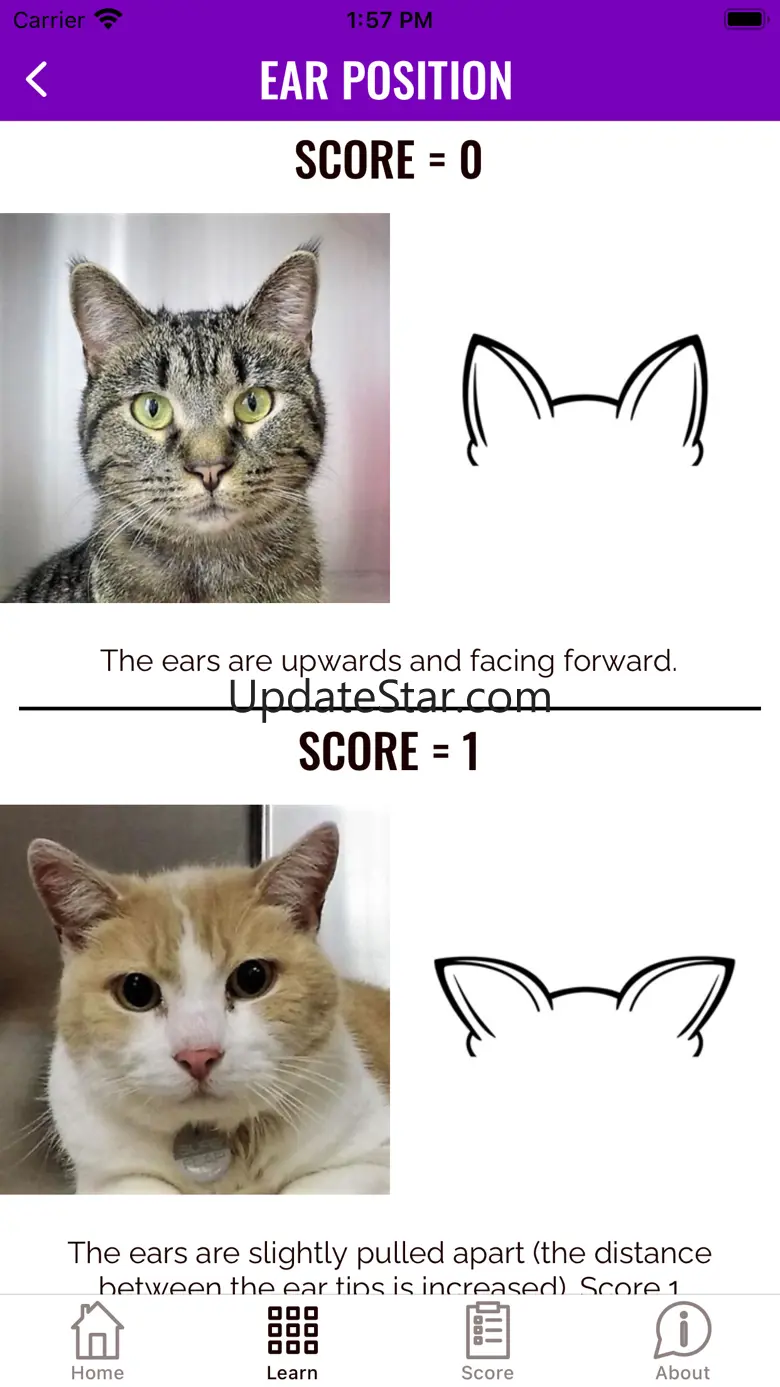 Feline Grimace Scale 1.1.2
