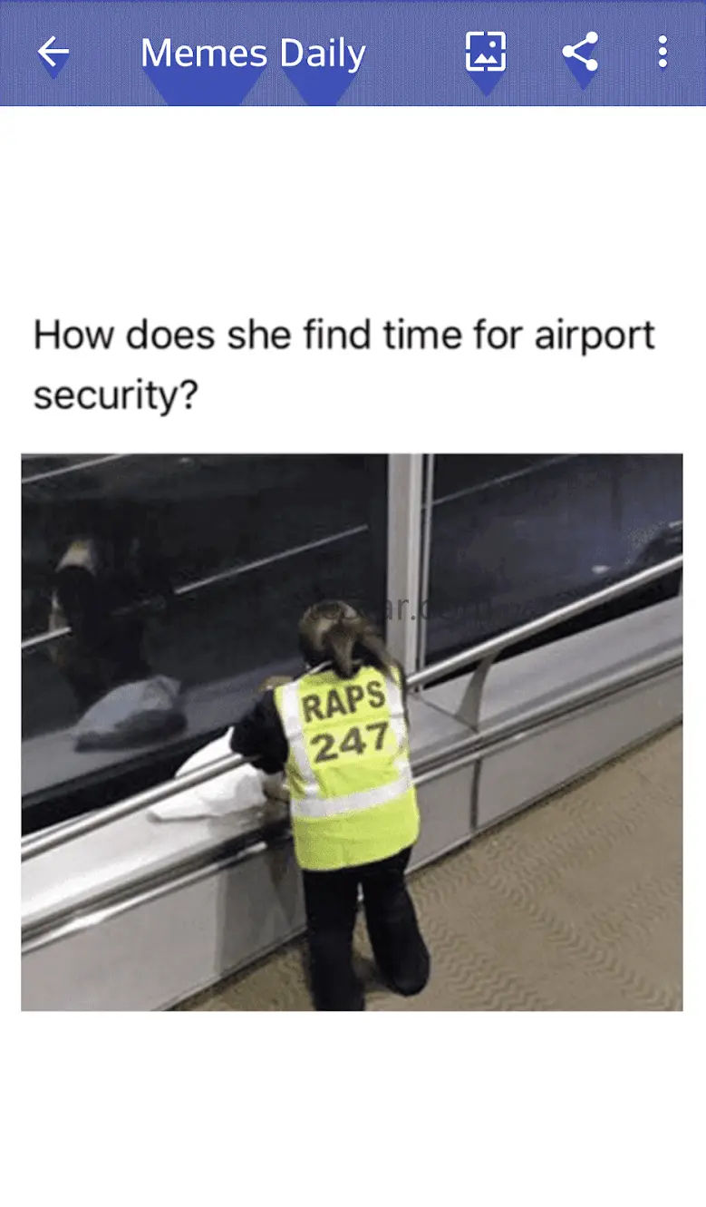 Memes daily App 1.4