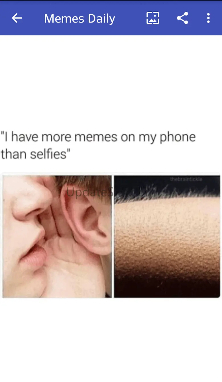 Memes daily App 1.4