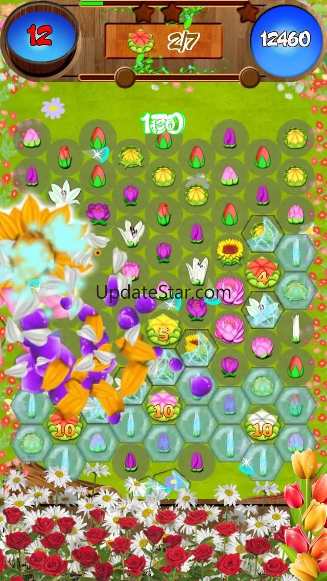 Flower Blast