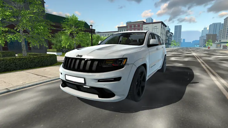 Oper Auto 1.2