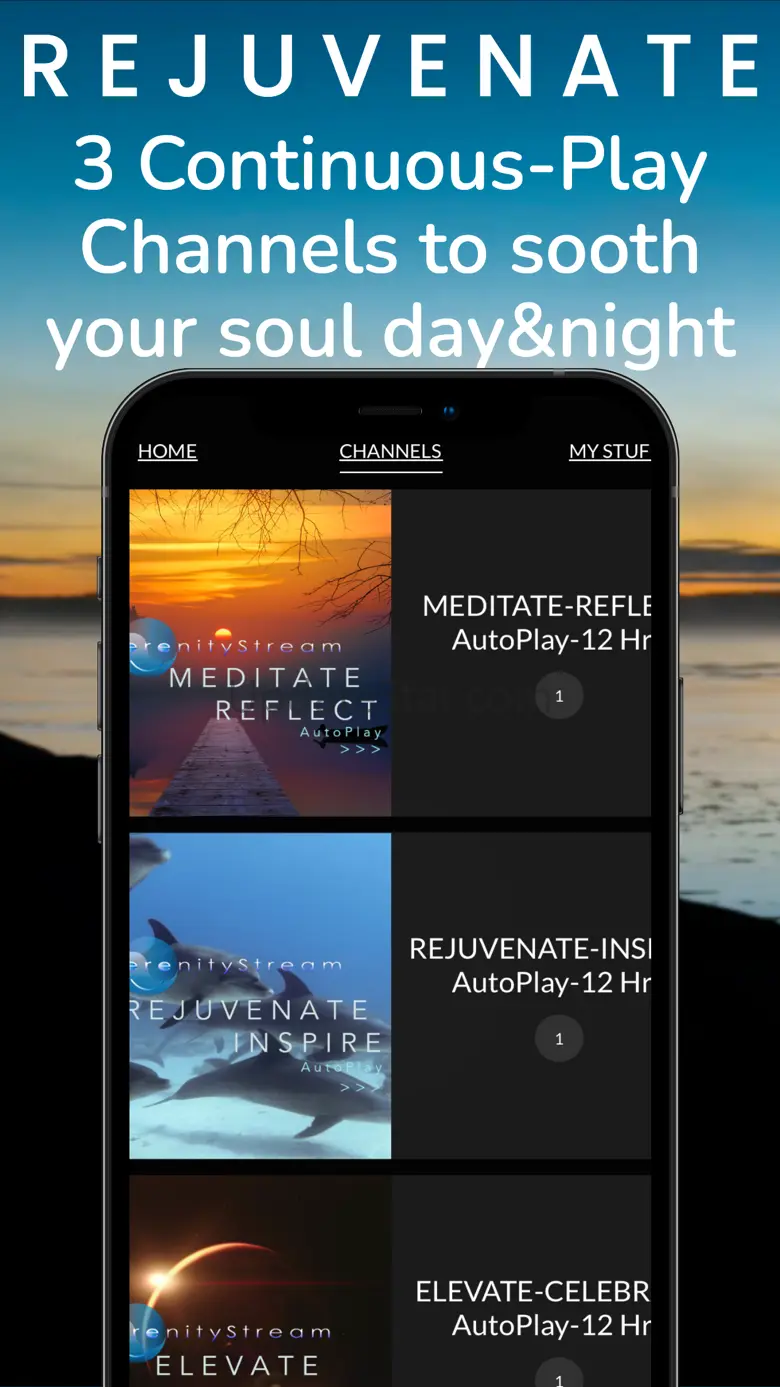 SerenityStream 3.1.300