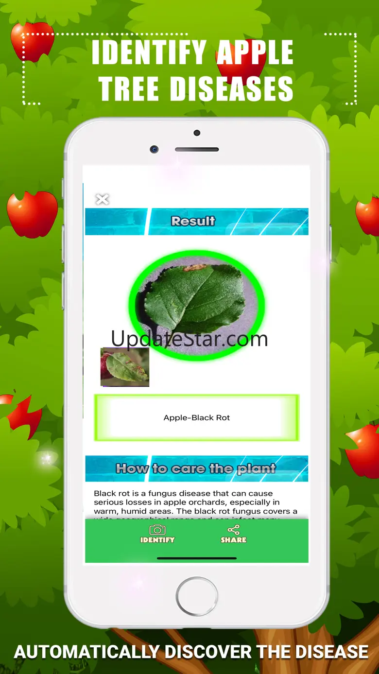 Identify Apple Tree Diseases 1.1