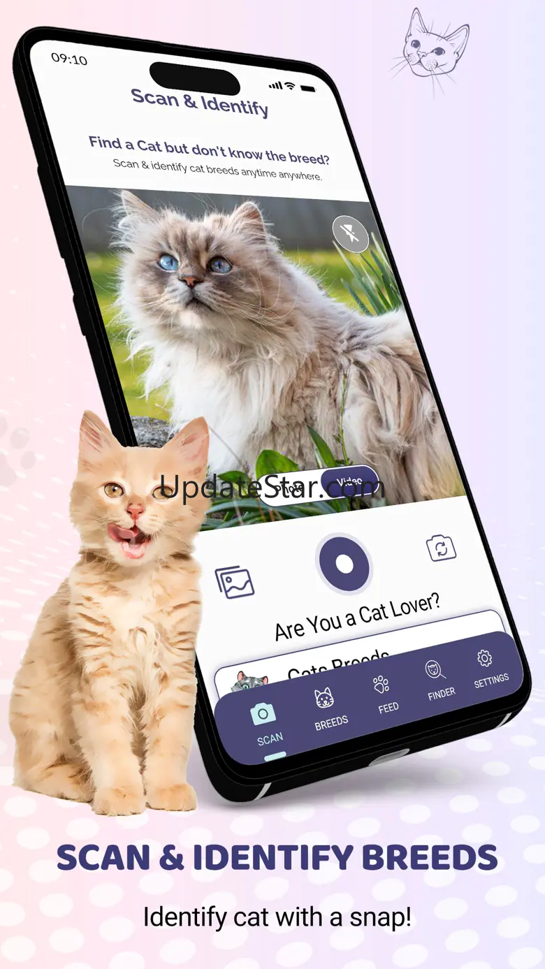 Cat Identifier: AI Cat Scanner 2.4