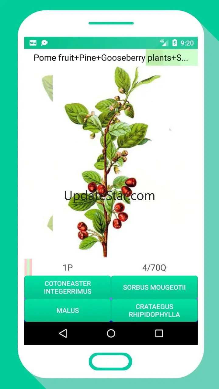 Tree Identifier App - Los árbo 1.10153