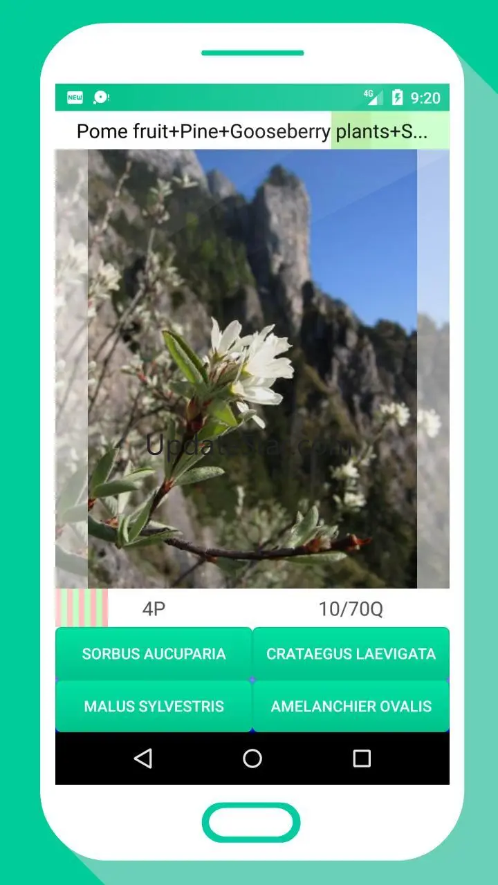 Tree Identifier App - Los árbo 1.10153