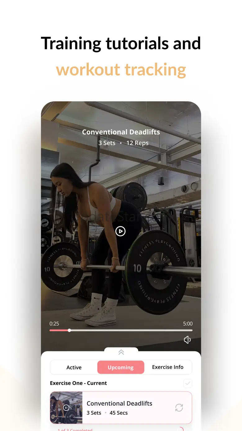 Access Fitness 3