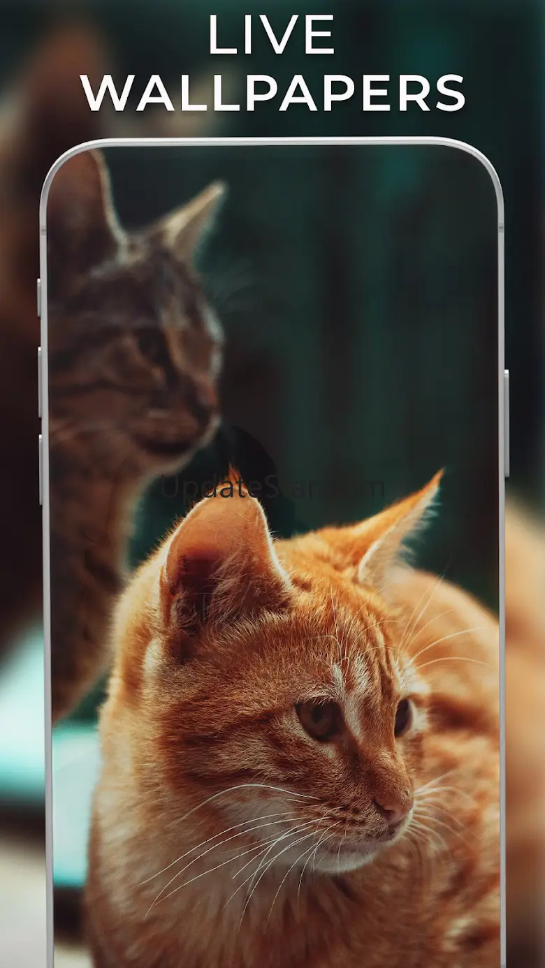 Video Live Wallpaper Set Video 1.3