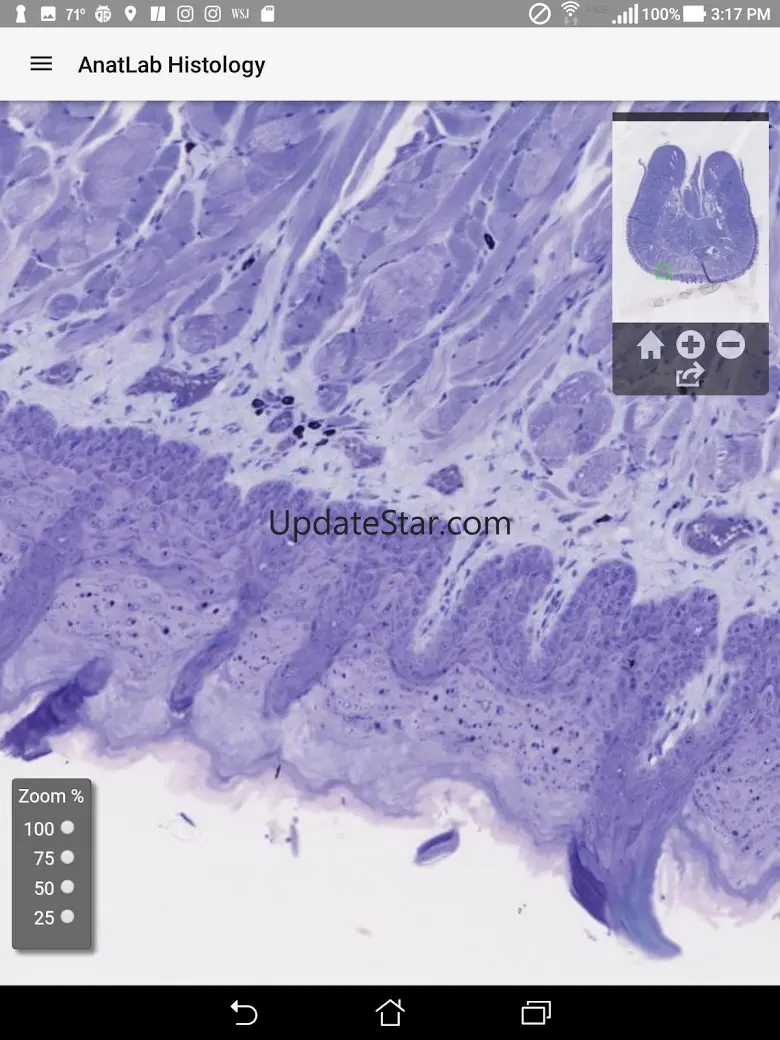 AnatLab Histology 1.0