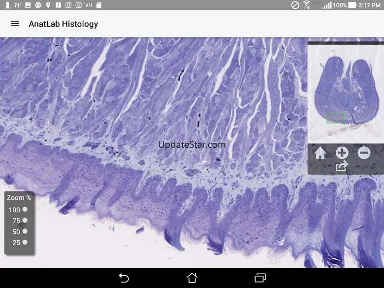 AnatLab Histology 1.0