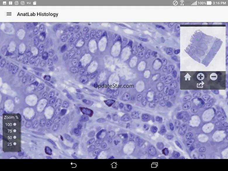 AnatLab Histology 1.0