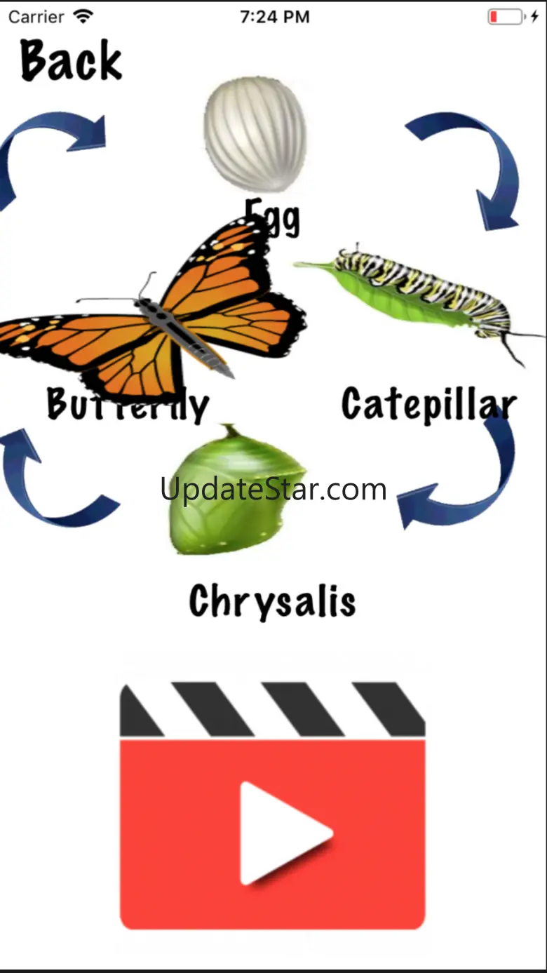 Life Cycle - Insects Arachnids 1.2.1