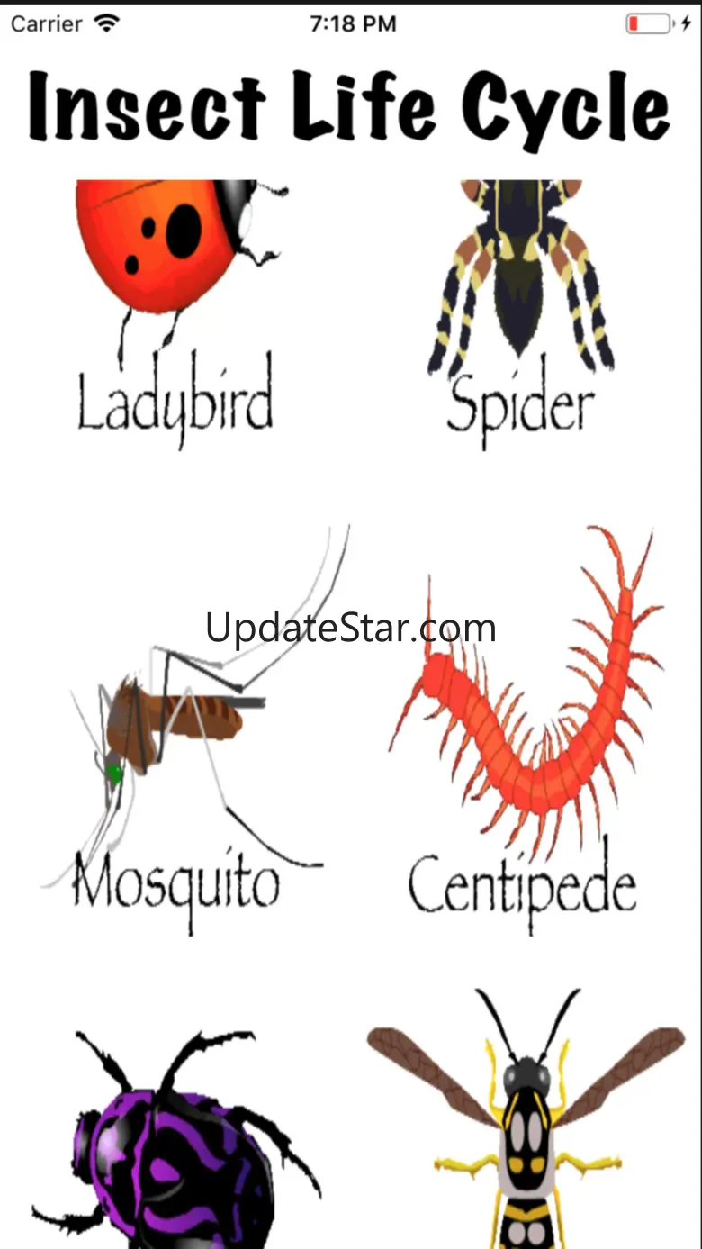 Life Cycle - Insects Arachnids 1.2.1