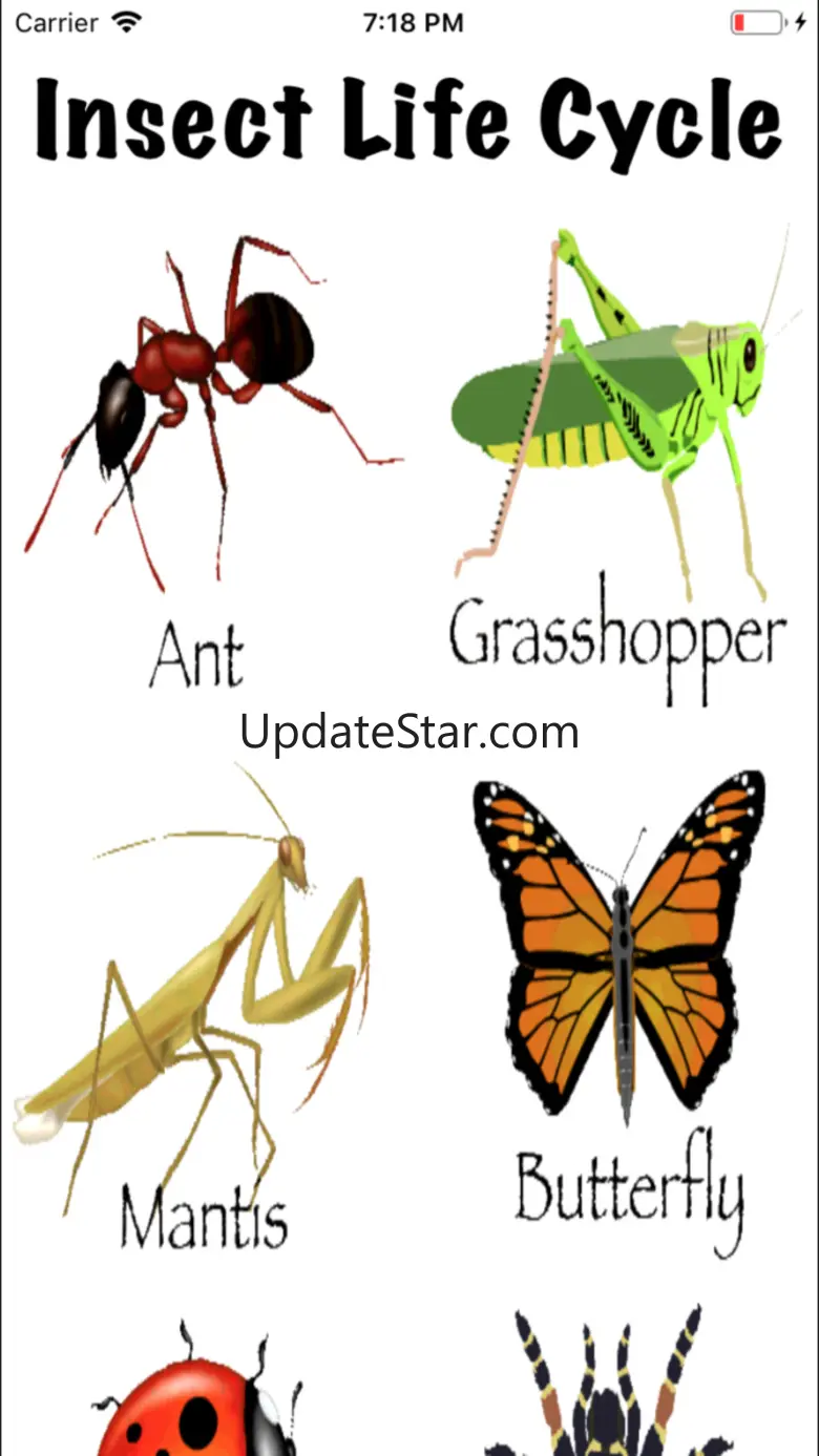 Life Cycle - Insects Arachnids 1.2.1