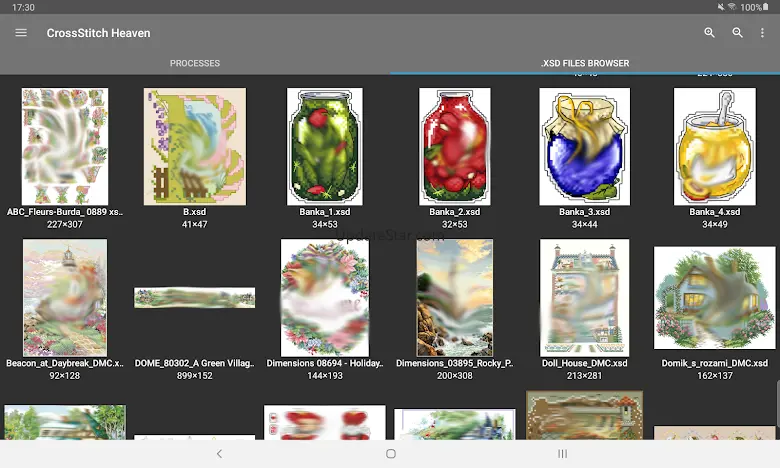 Cross Stitch Paradise 4.5.2 GP