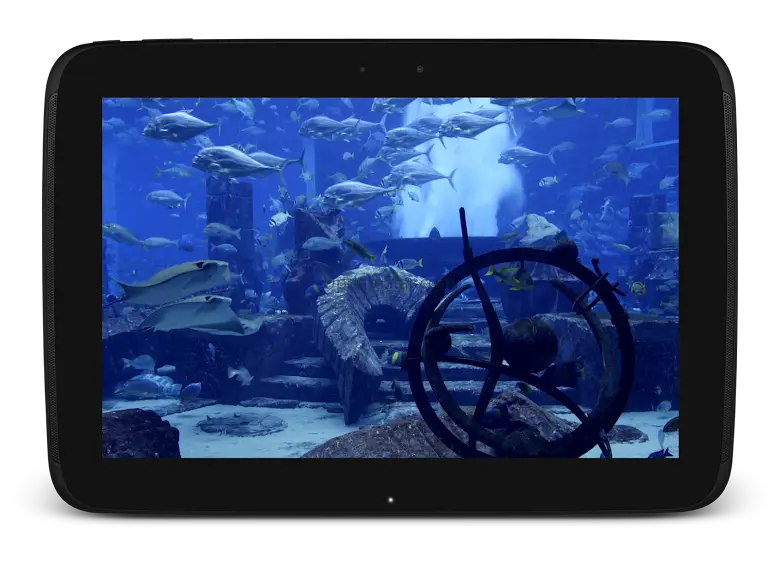 Aquarium Video Live Wallpaper 6.0