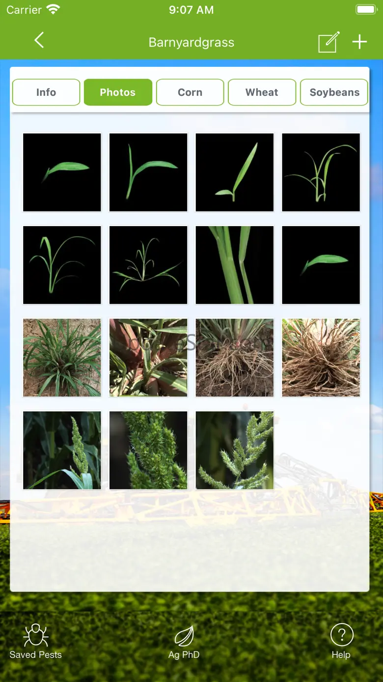 Ag PhD Field Guide 2.0