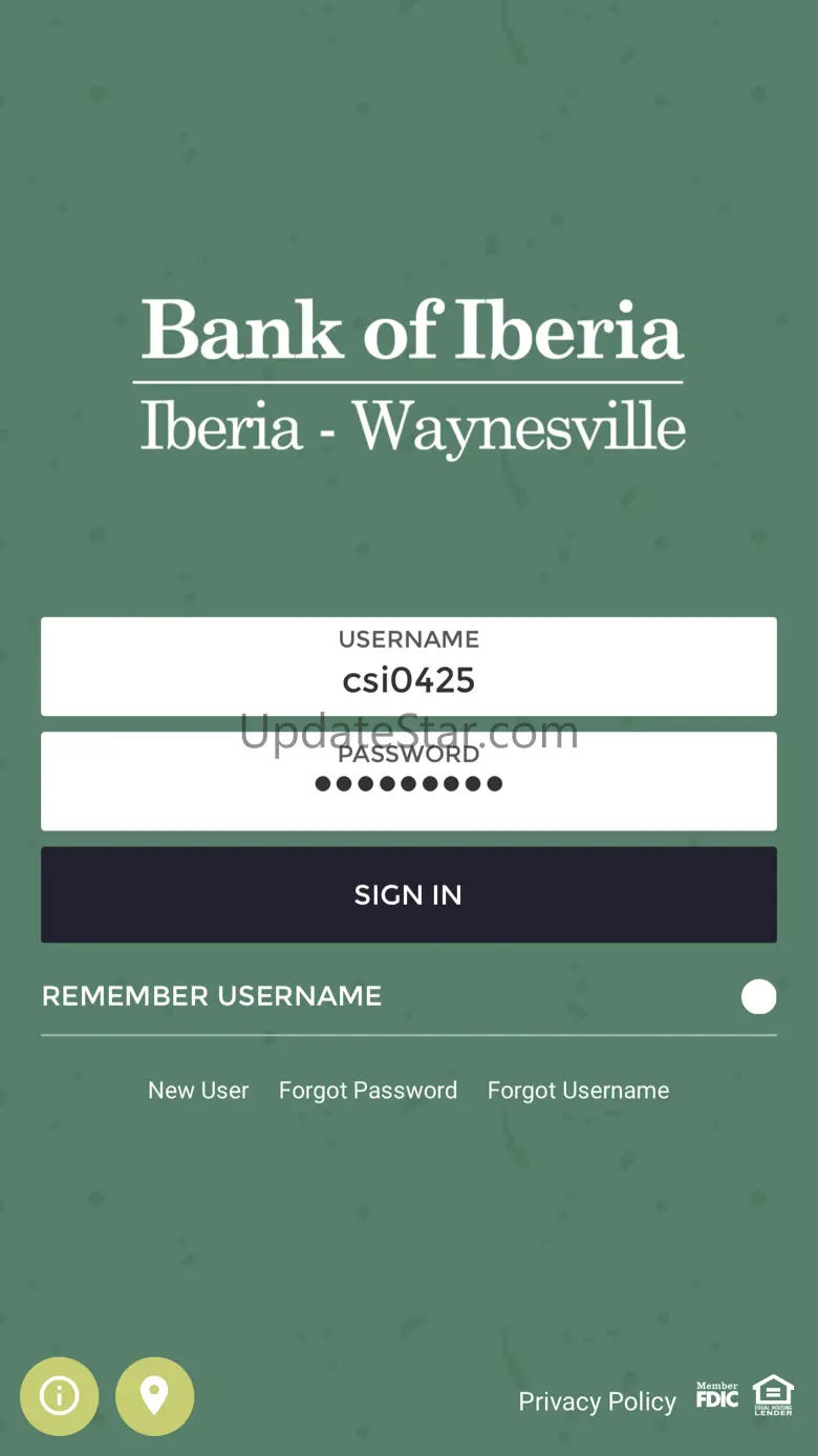 Bank of Iberia 25.1.1