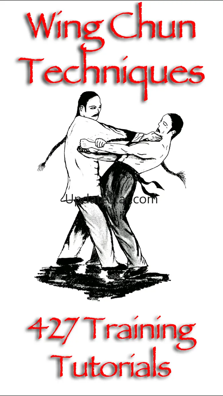 Wing Chun Techniques 1.0