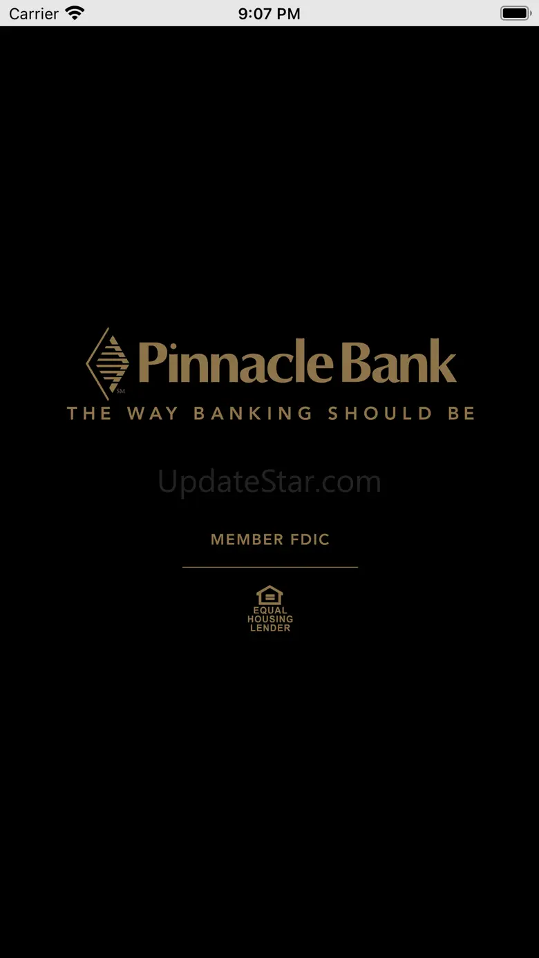 Pinnacle Bank Texas Business 23.1.10