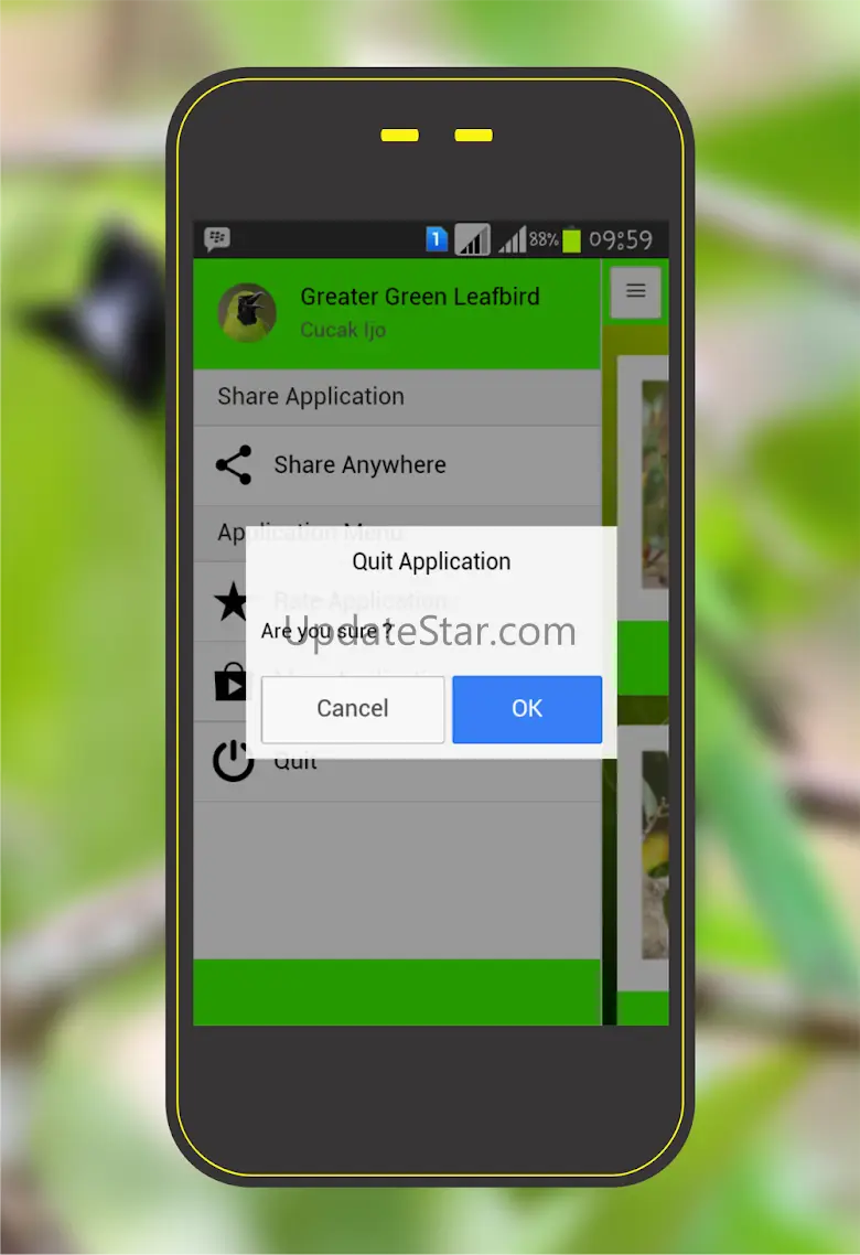 Greater Green Leafbird 1.1