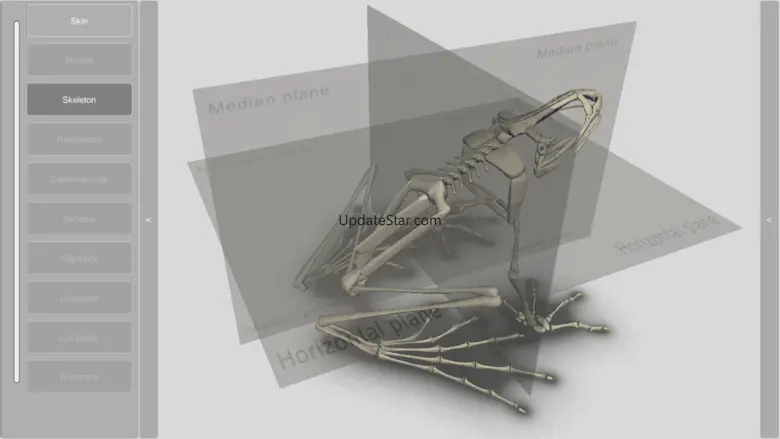 3D Frog Skeleton 2.00
