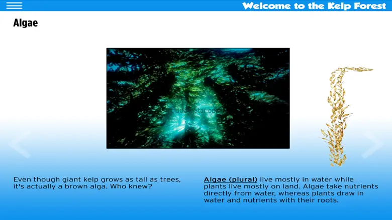 The Kelp Forest ebook 1.02