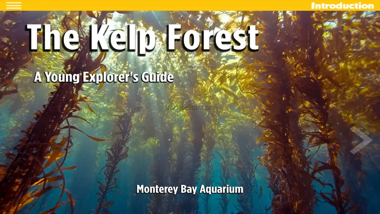 The Kelp Forest ebook 1.02
