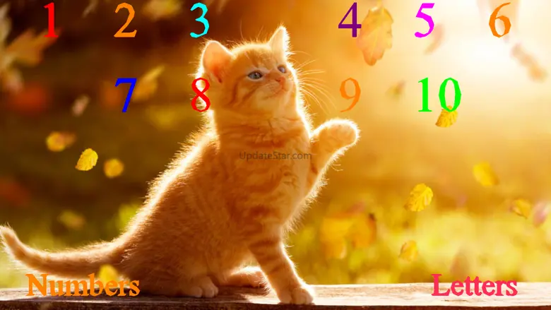 Wild Cats Sounds 3.3