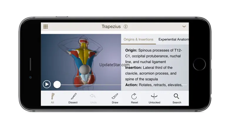 Anatomy U-Experiential Anatomy 1.2.5
